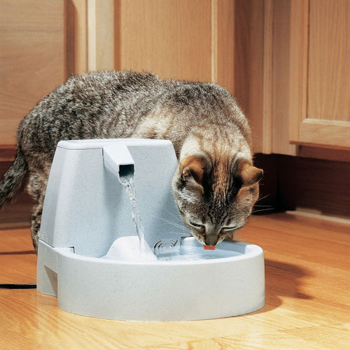 PetSafe Drinkwell Automatischer Wasserspender für Haustiere, 1,5 Liter